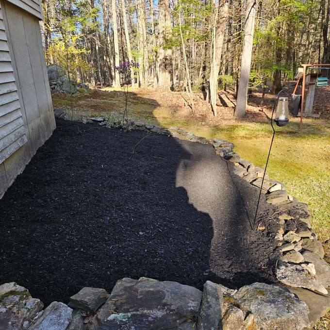 The same bed cleared and topped with fresh dark mulch